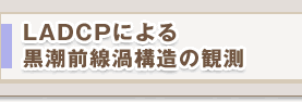 LADCPによる黒潮前線渦構造の観測