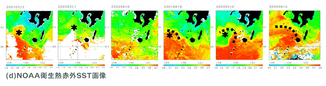 (d)NOAA衛生熱赤外SST画像