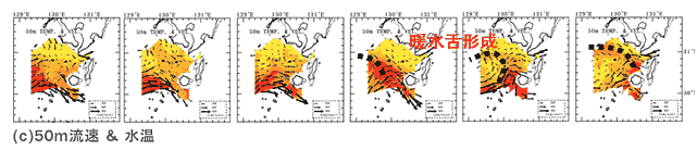 (c)50m流速 ＆ 水温