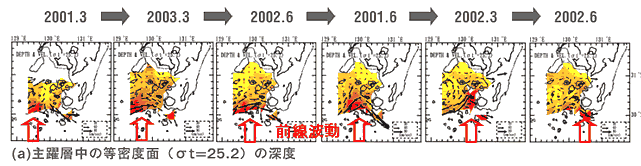 (a)主躍層中の等密度面（σt=25.2）の深度