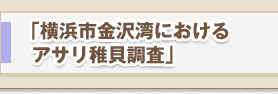 「横浜市金沢湾におけるアサリ稚貝調査」